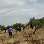 بيان من الجيش الأردني بخصوص إسقاط مسيرة في جرش