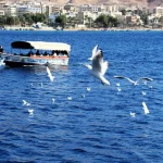 وظيفة حكومية اردنية متوفرة لعشاق البحر