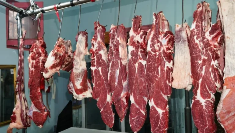 الزراعة النيابية: فحص شحنات اللحوم في مسلخ عمّان دون كشف حدودي