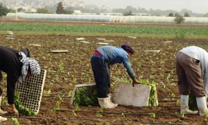 ترحيل 900 عامل مخالف منذ مطلع العام