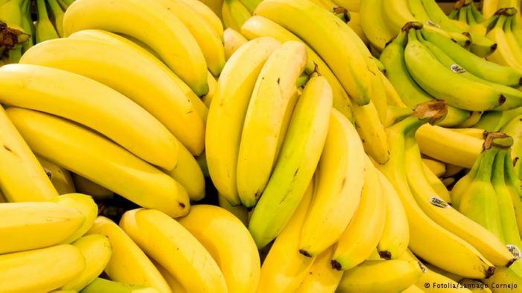 هل تتفوق قشور الموز على القطن في صناعة الأزياء؟