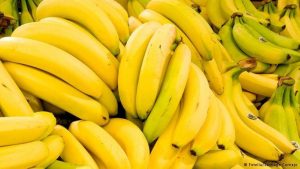 هل تتفوق قشور الموز على القطن في صناعة الأزياء؟