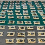 الجيش الأردني يُحبط محاولة تهريب كمية ضخمة من المخدرات بواسطة بالونات