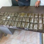 مصر تحبط تهريب 280 “فرش حشيش” كانت في طريقها إلى الأردن