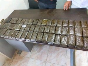 مصر تحبط تهريب 280 “فرش حشيش” كانت في طريقها إلى الأردن