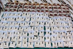 المنطقة العسكرية الشرقية تحبط محاولة تهريب كمية كبيرة من المواد المخدرة